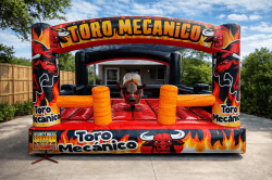 Western Mechanical Bull eyes with light